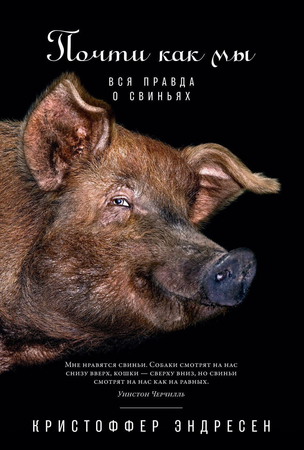 Онлайн книга - Почти как мы. Вся правда о свиньях - Кристоффер Эндресен