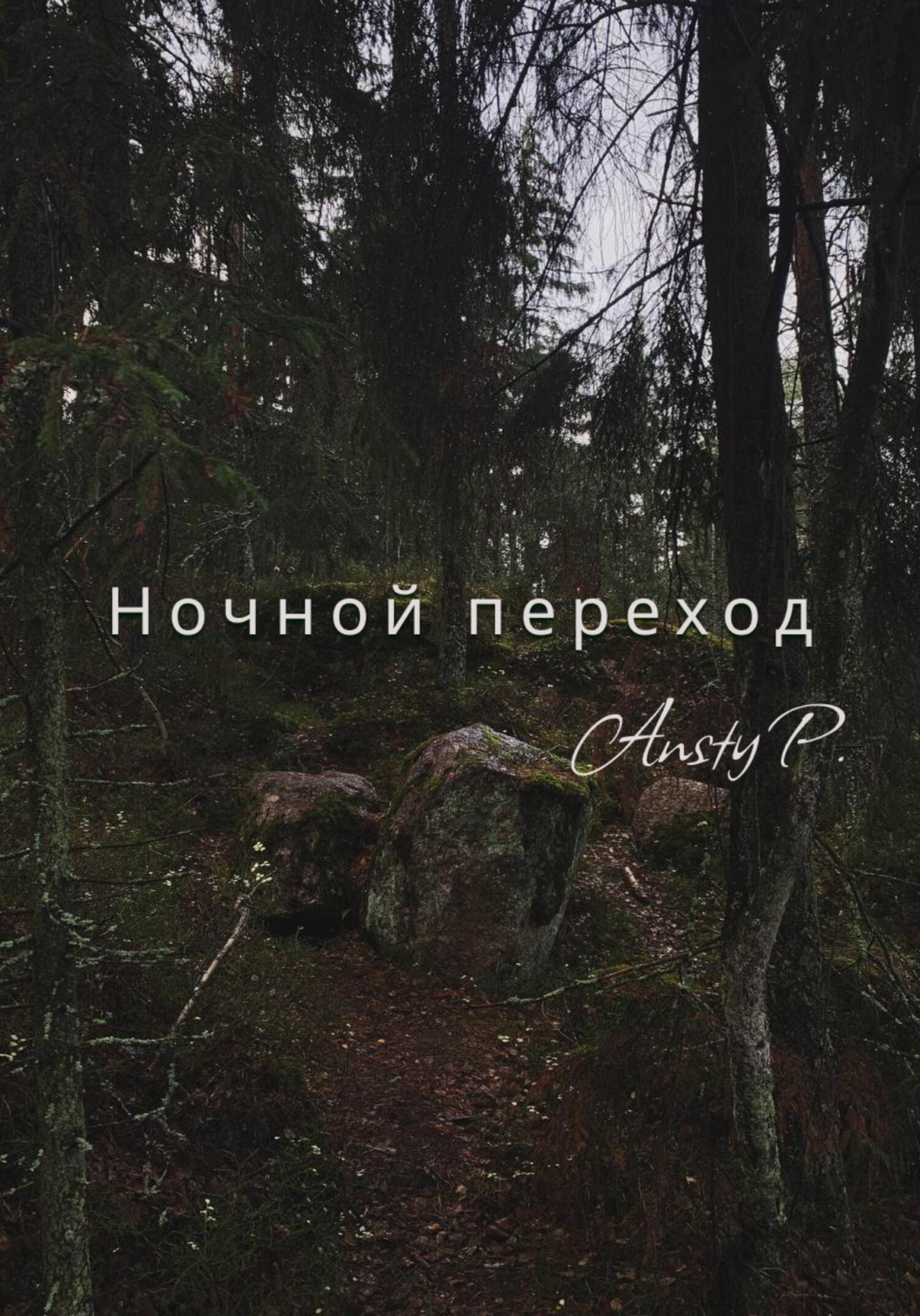Онлайн книга - Ночной переход - Ansty P.