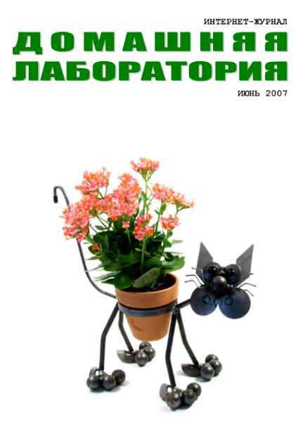 Онлайн книга - Интернет-журнал "Домашняя лаборатория", 2007 №6 - Вязовский
