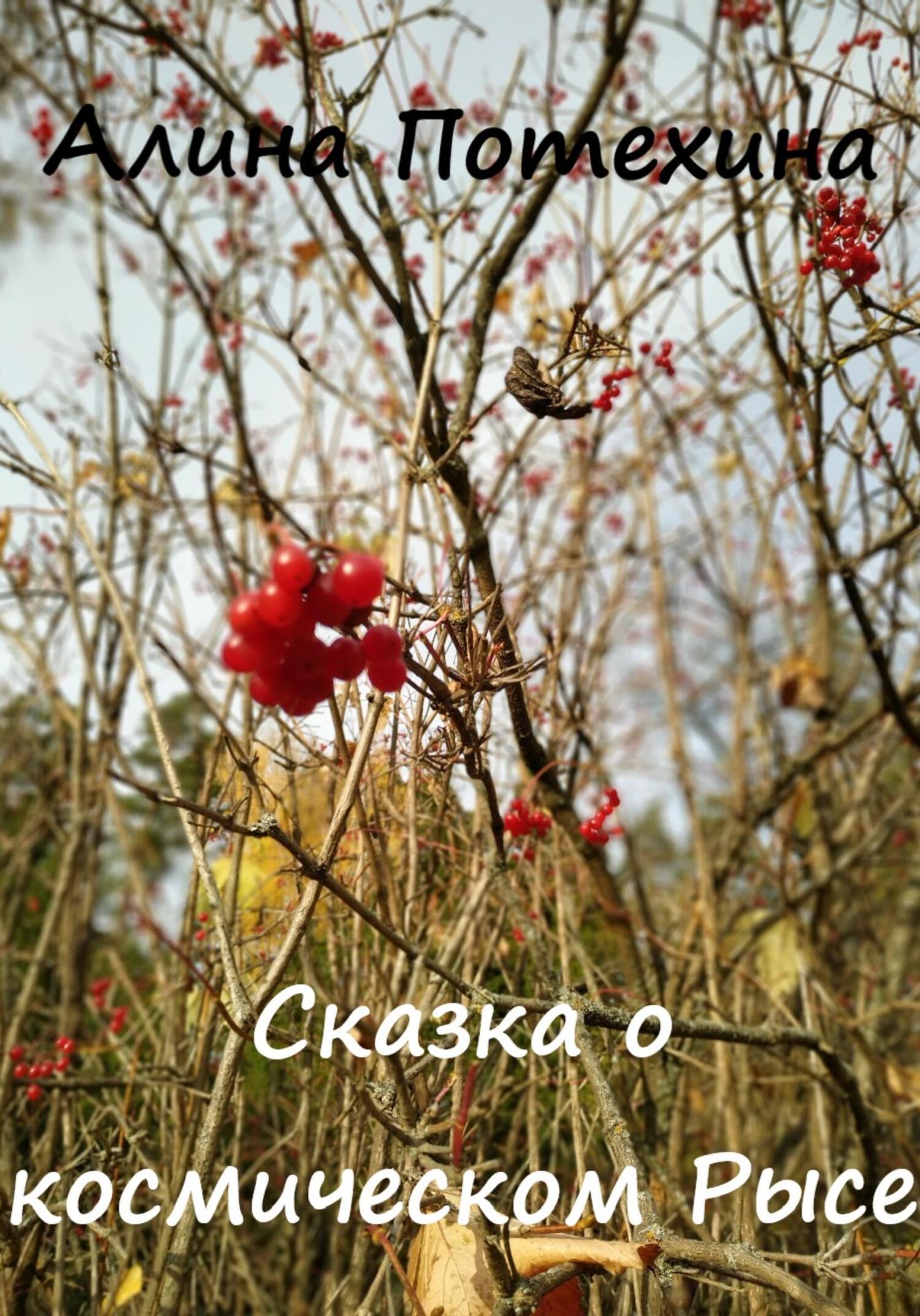 Онлайн книга - Сказка о космическом Рысе - Алина Потехина
