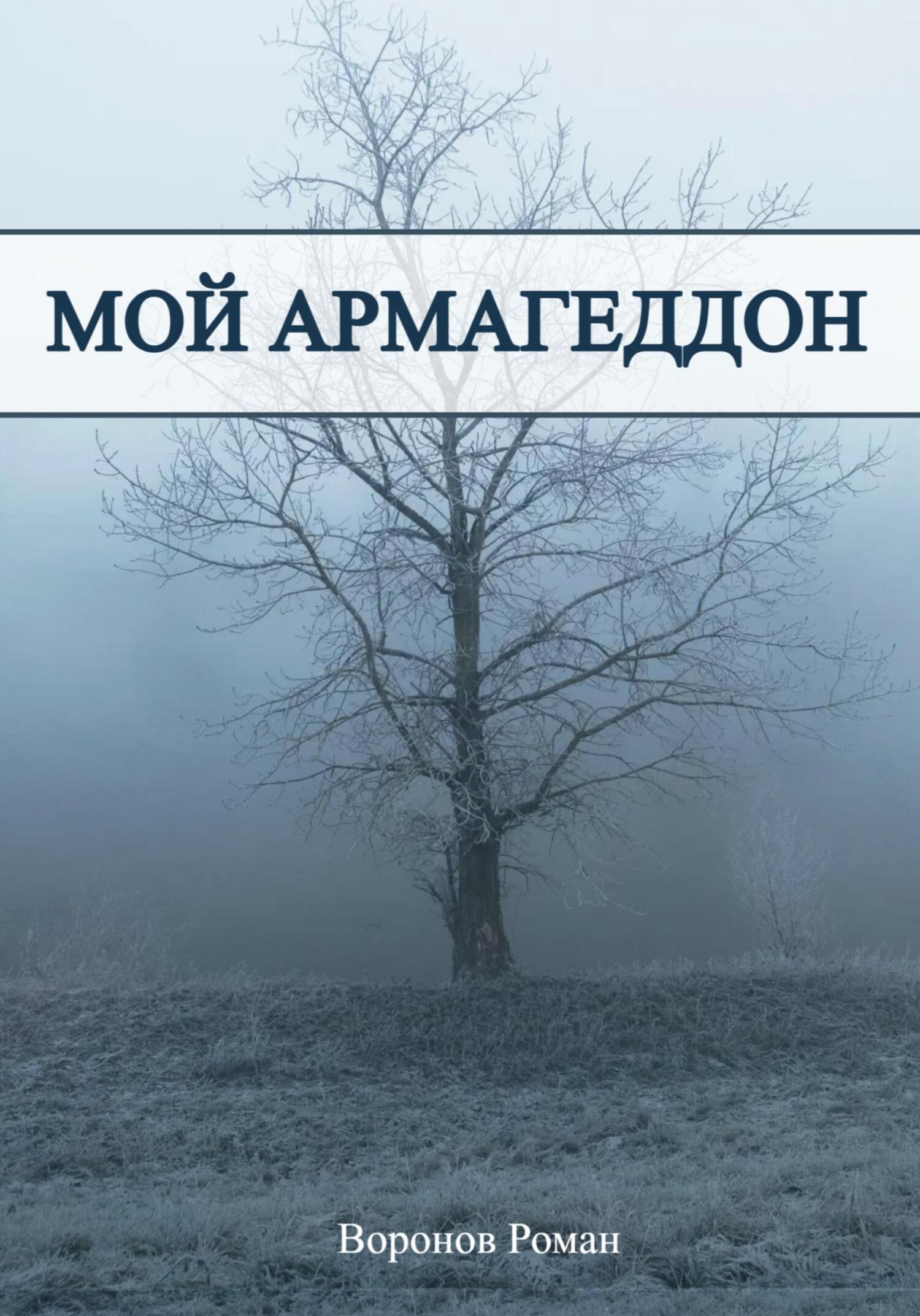 Онлайн книга - Мой Армагеддон - Роман Воронов