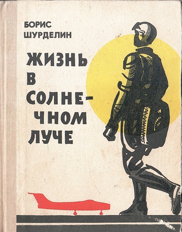 Онлайн книга - Жизнь в солнечном луче - Борис Фомич Шурделин