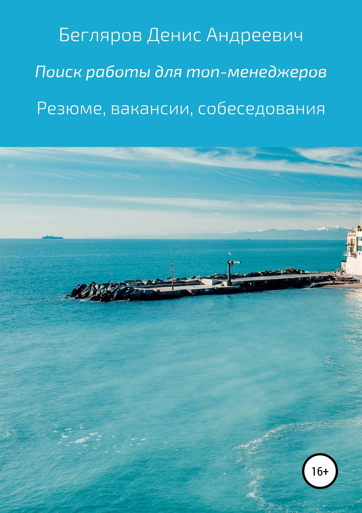 Онлайн книга - Комплексный поиск работы для топ-менеджеров в коммерции: резюме, вакансии, собеседования - Денис Анд