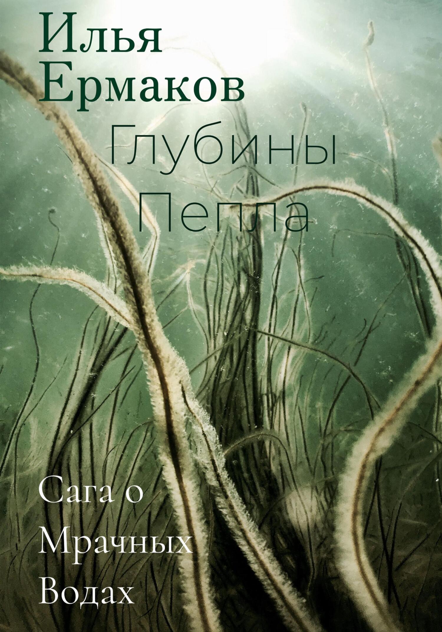 Онлайн книга - Сага о Мрачных Водах. Глубины Пепла - Илья Сергеевич Ермаков
