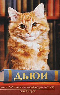 Онлайн книга - Дьюи. Кот из библиотеки, который потряс весь мир - Вики Майрон