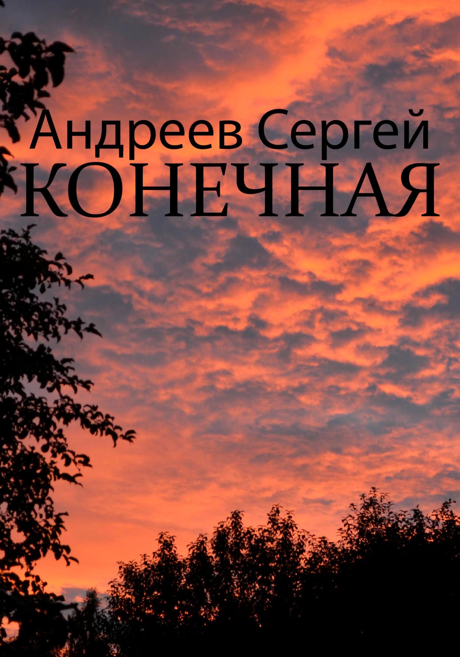 Онлайн книга - Конечная - Сергей Андреевич Андреев