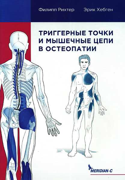 Онлайн книга - Триггерные точки и мышечные цепи в остеопатии - Филипп Рихтер