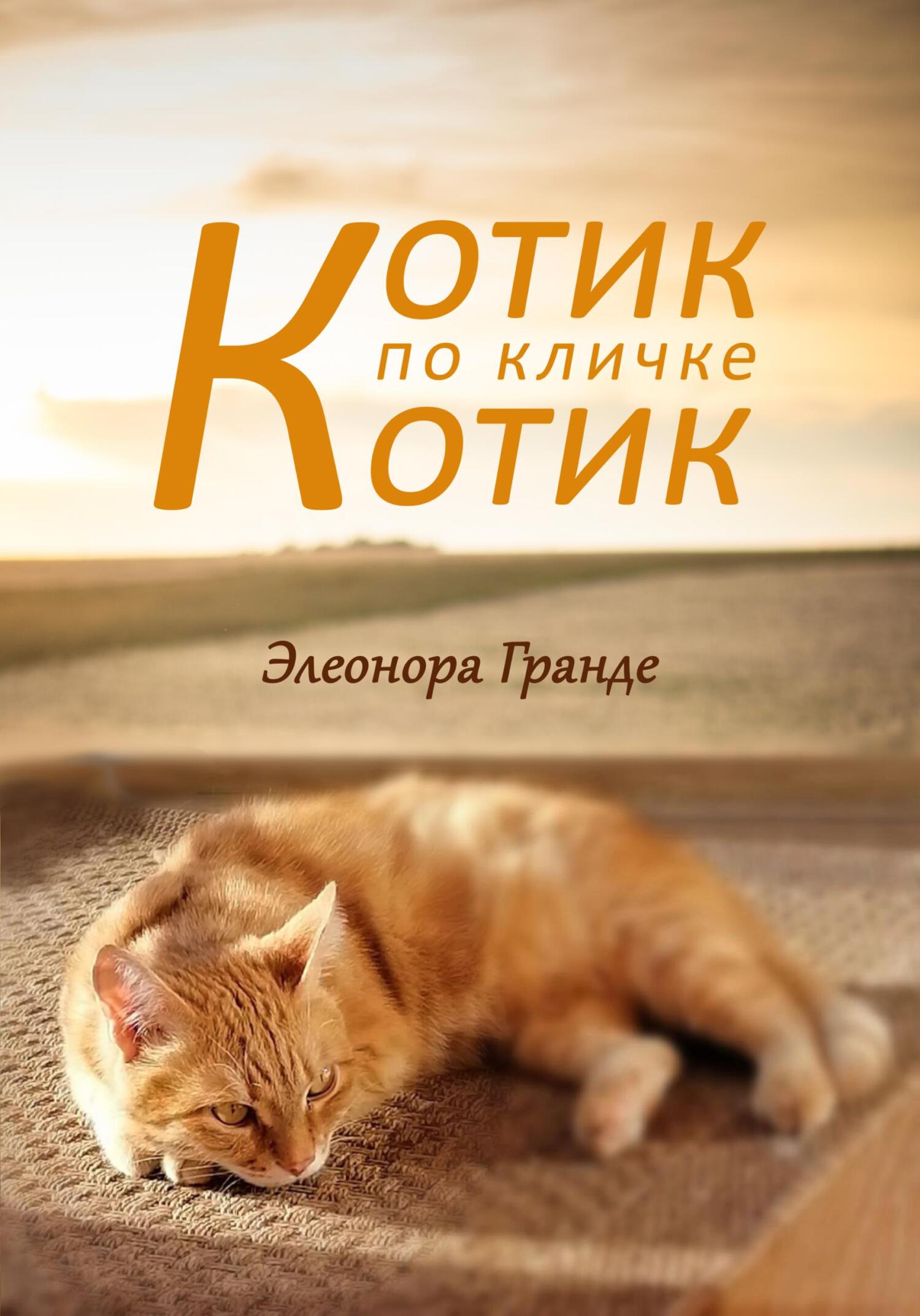 Онлайн книга - Котик по кличке Котик - Элеонора Гранде