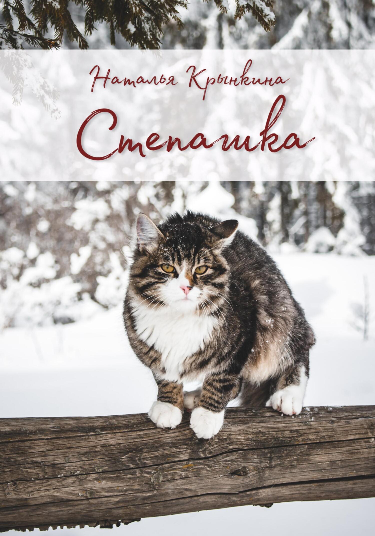 Онлайн книга - Степашка - Наталья Васильевна Крынкина