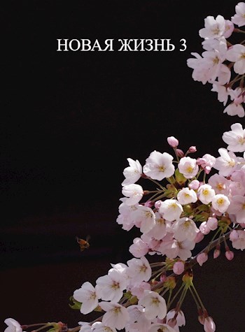 Онлайн книга - Новая жизнь 3 - Виталий Хонихоев
