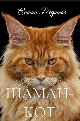 Онлайн книга - Шаман-Кот - Антон Сергеевич Федотов