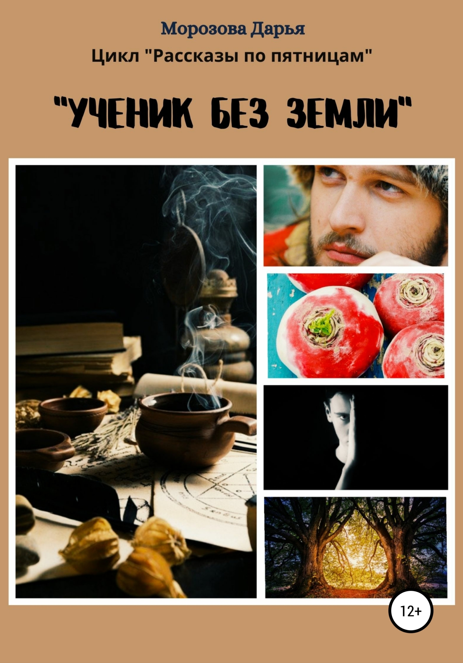 Онлайн книга - Ученик без земли - Дарья Вячеславовна Морозова