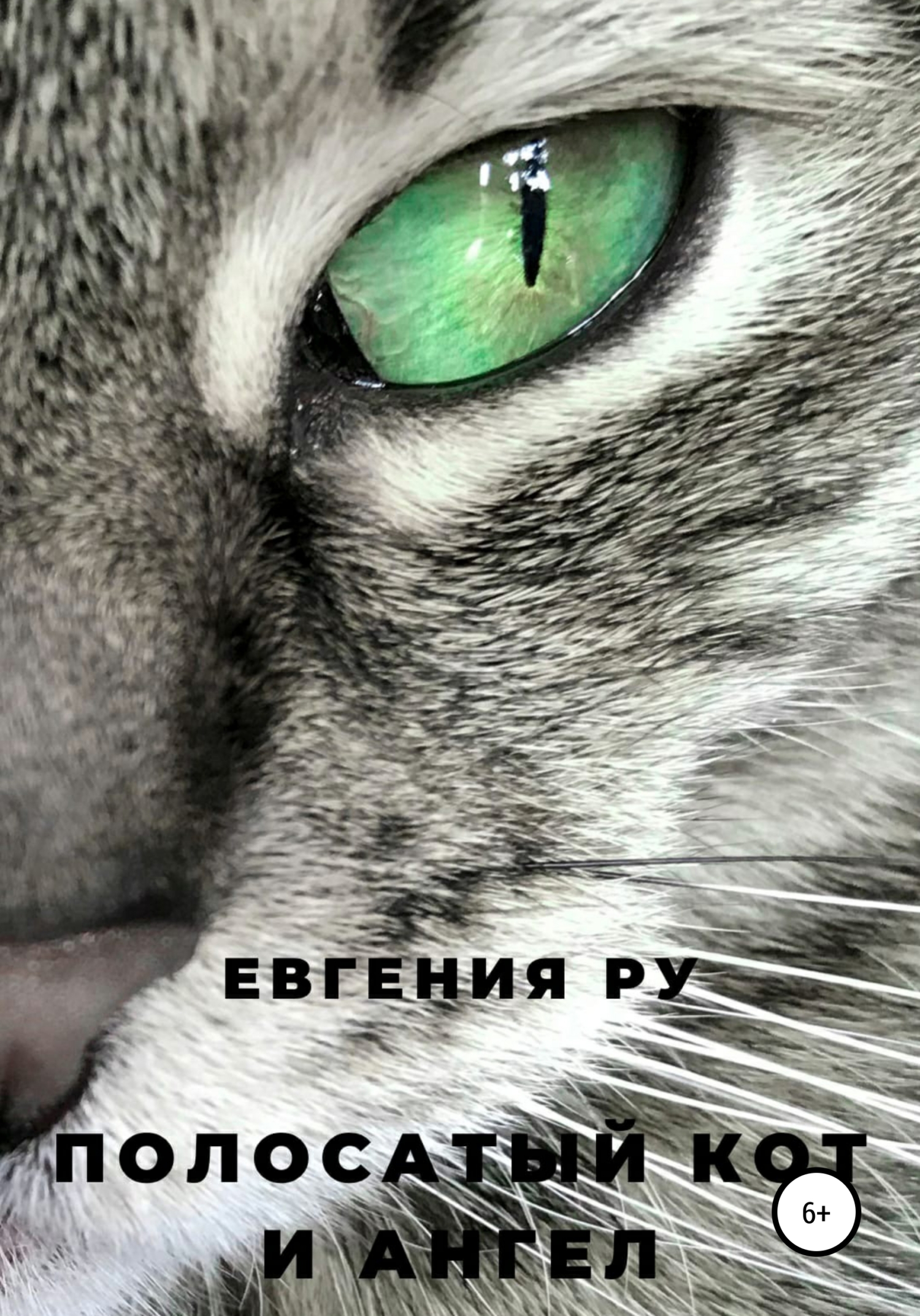 Онлайн книга - Полосатый кот и ангел - Евгения Ру