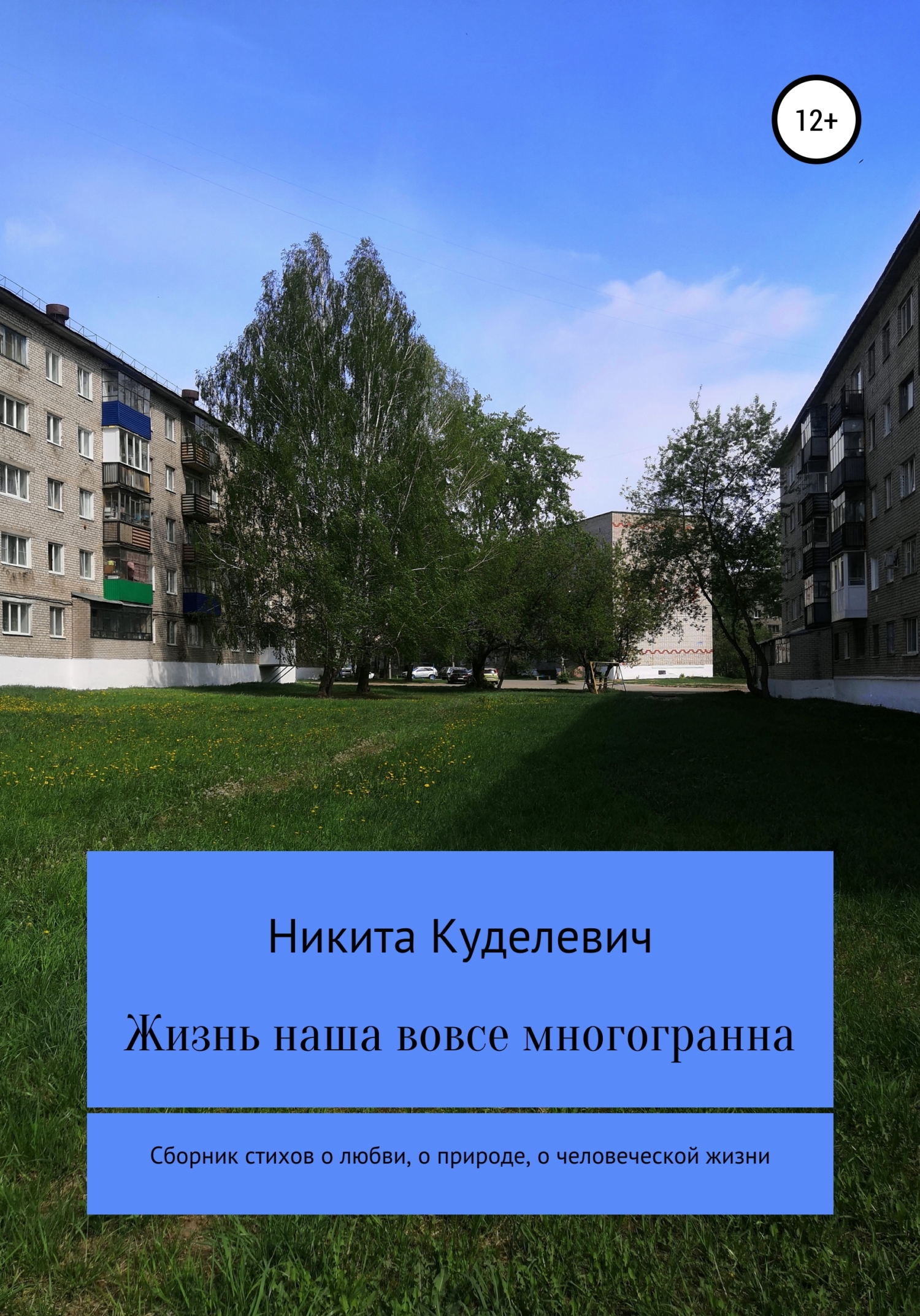Онлайн книга - Жизнь наша вовсе многогранна - Никита Александрович Куделевич