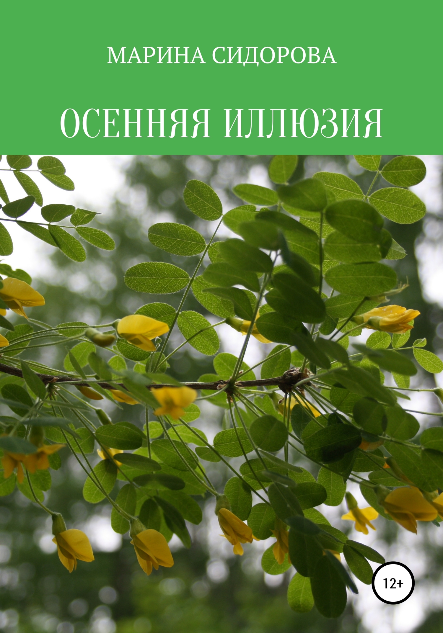 Онлайн книга - Осенняя иллюзия - Марина Сидорова