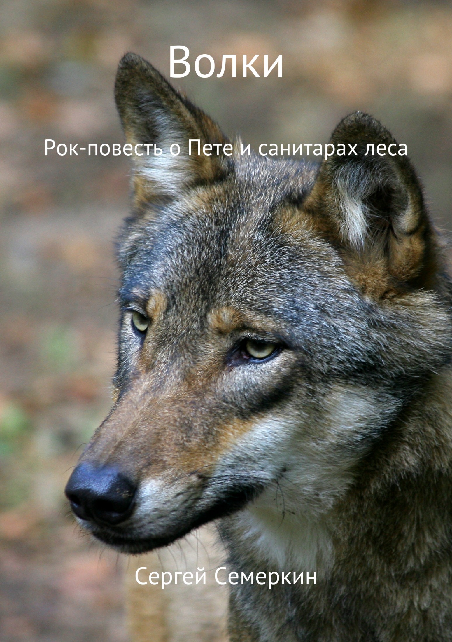Онлайн книга - Волки - Сергей Владимирович Семеркин
