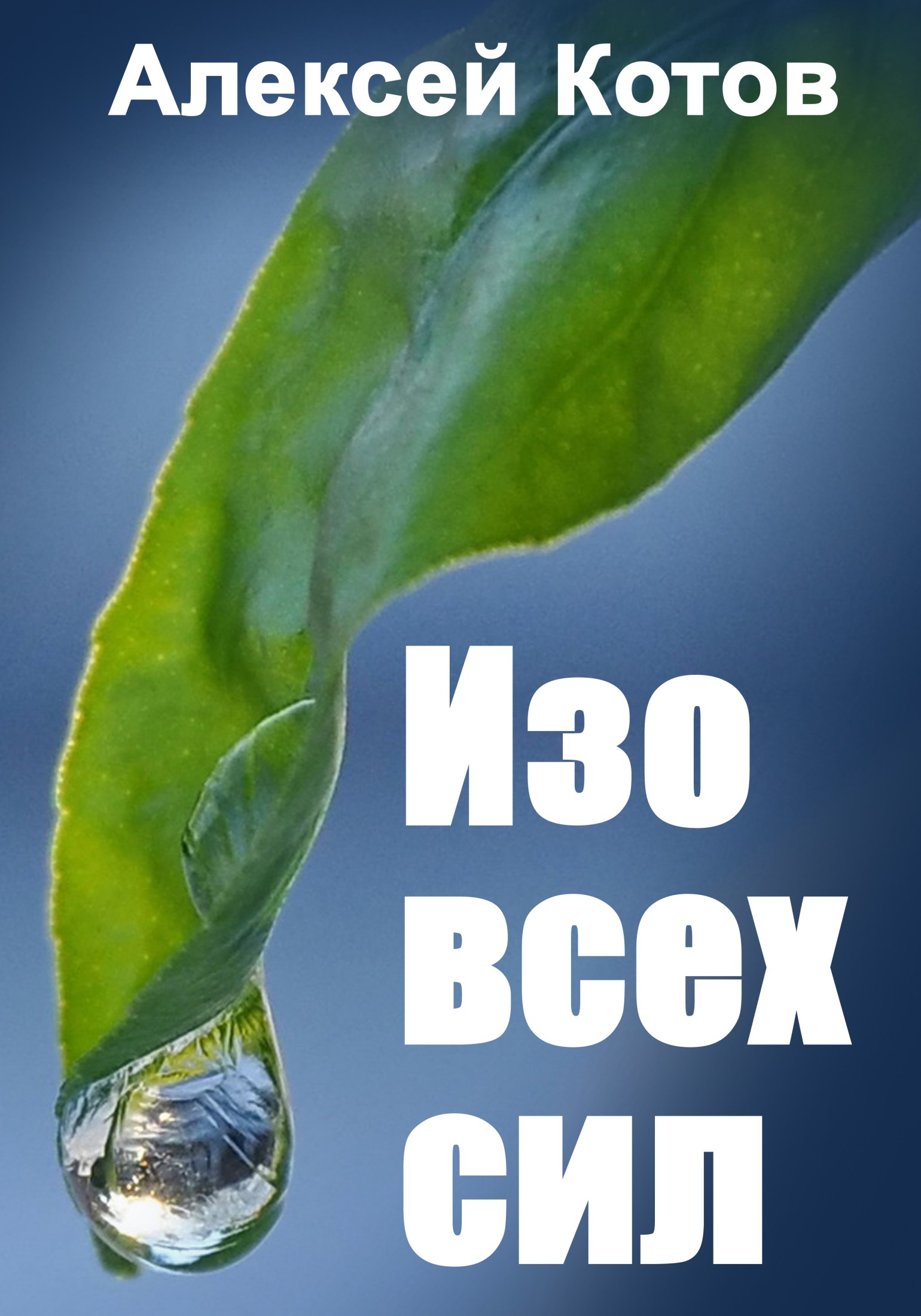 Онлайн книга - Изо всех сил - Алексей Николаевич Котов