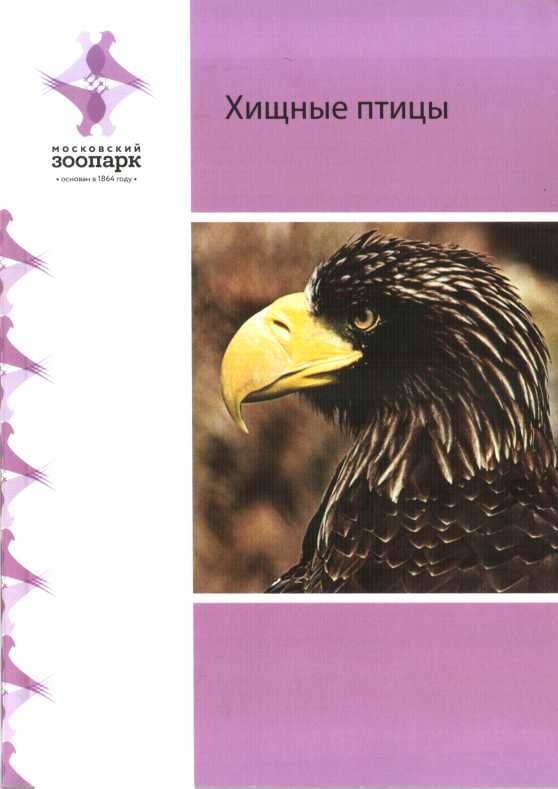 Онлайн книга - Хищные птицы - Т. В. Воронина