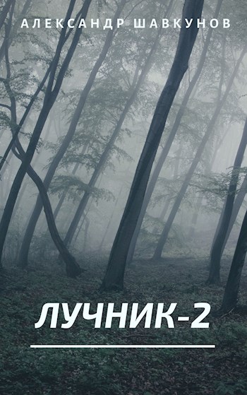 Онлайн книга - Лучник-2 - Александр Георгиевич Шавкунов