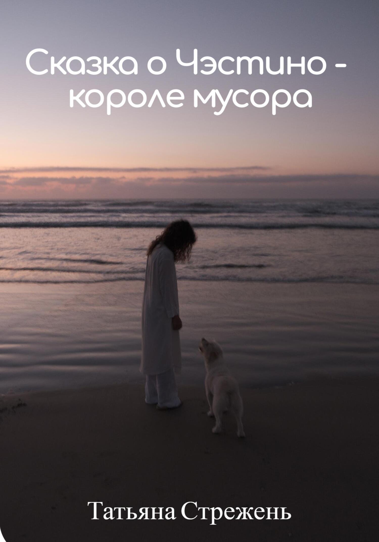 Онлайн книга - Сказка о Чэстино – короле мусора - Татьяна Стрежень