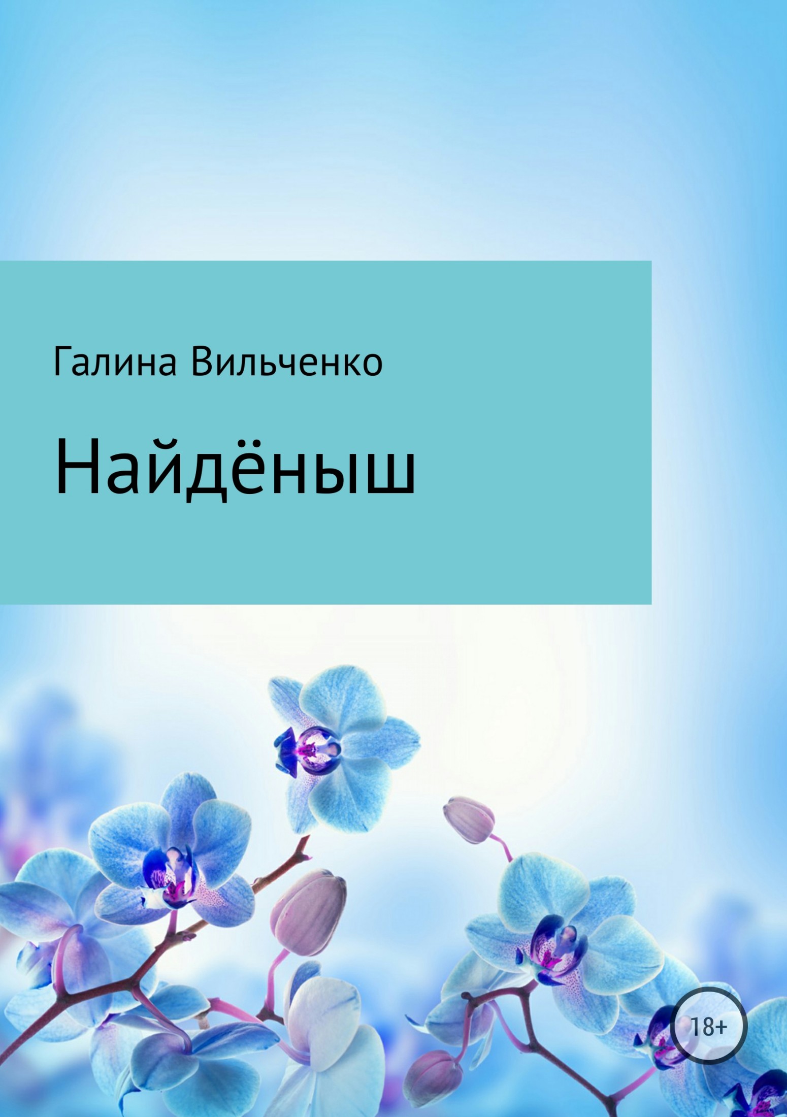 Онлайн книга - Найдёныш - Галина Дмитриевна Вильченко