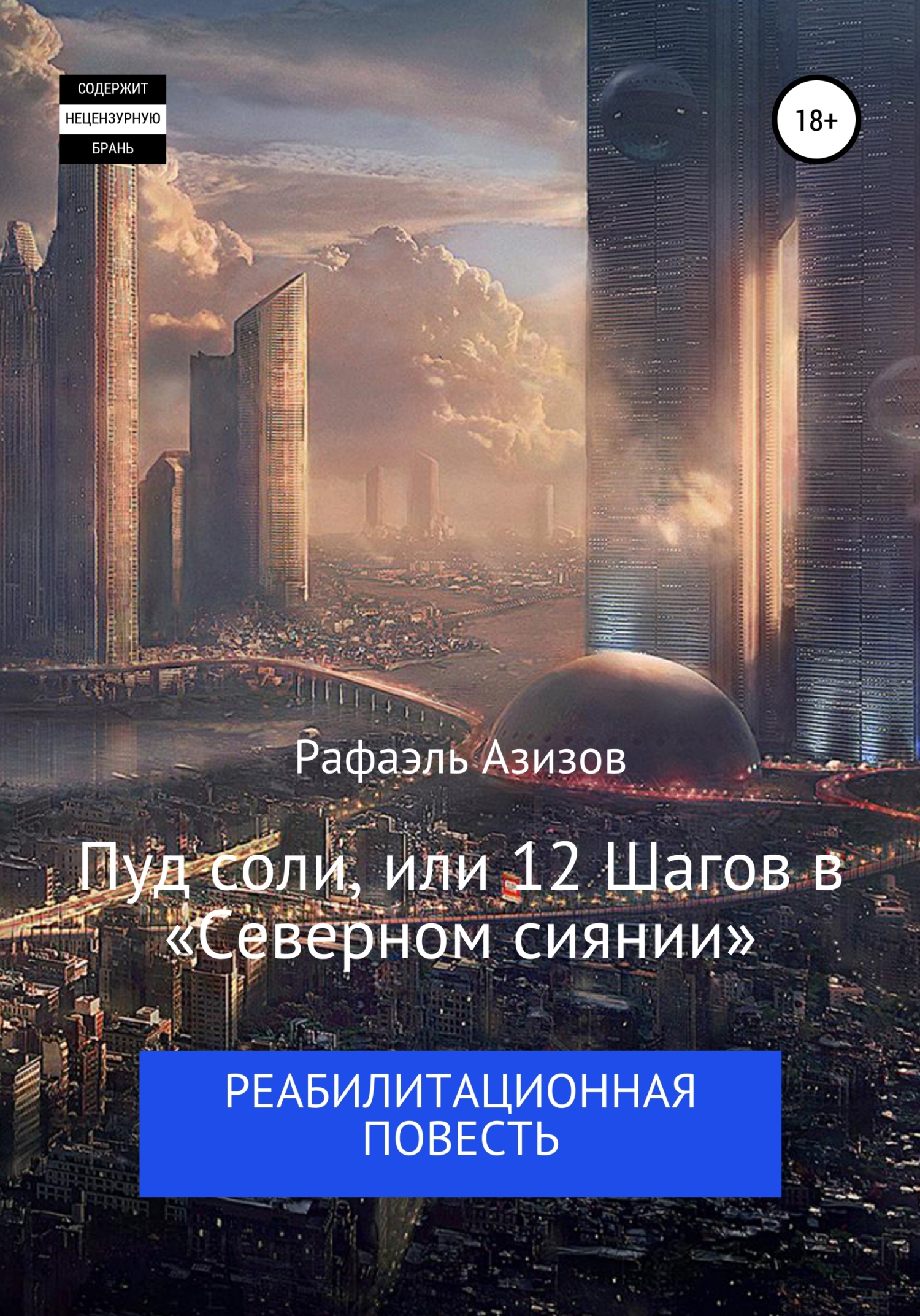 Онлайн книга - Пуд соли, или 12 Шагов в «Северном сиянии» - Рафаэль Азизов