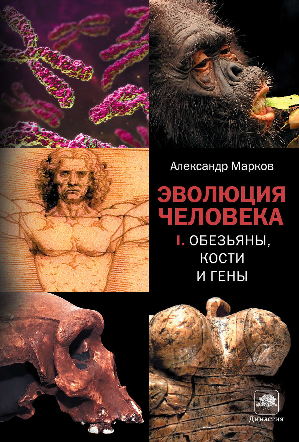 Онлайн книга - Эволюция человека. Книга I. Обезьяны, кости и гены - Александр Владимирович Марков