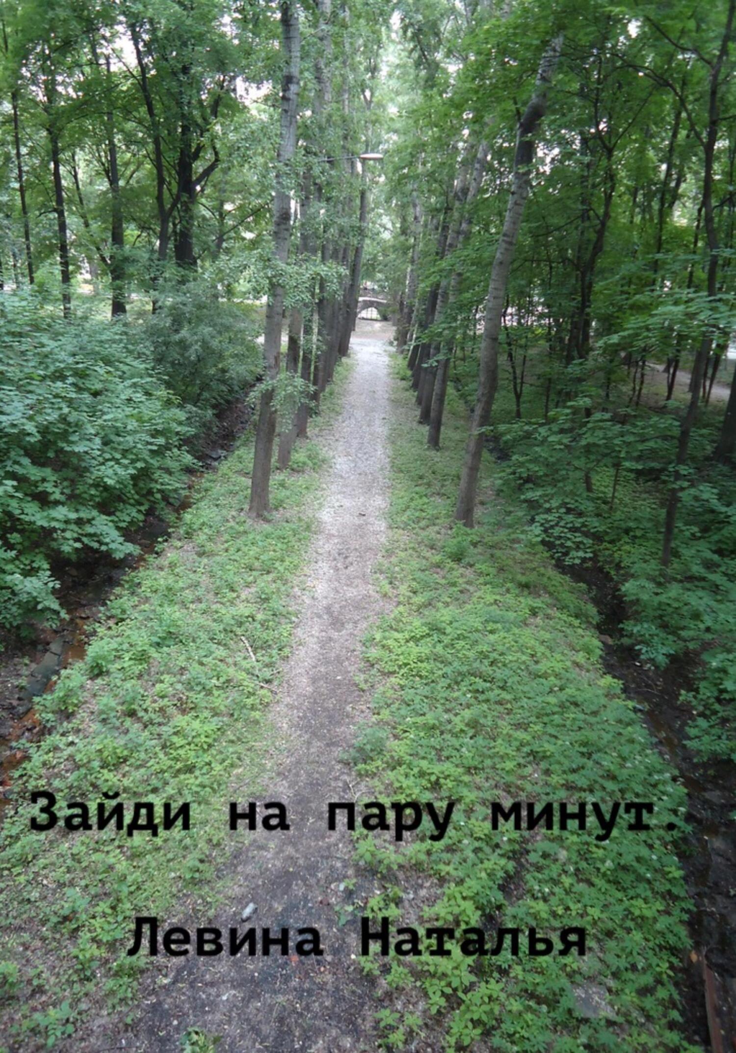 Онлайн книга - Зайди на пару минут - Наталья Левина