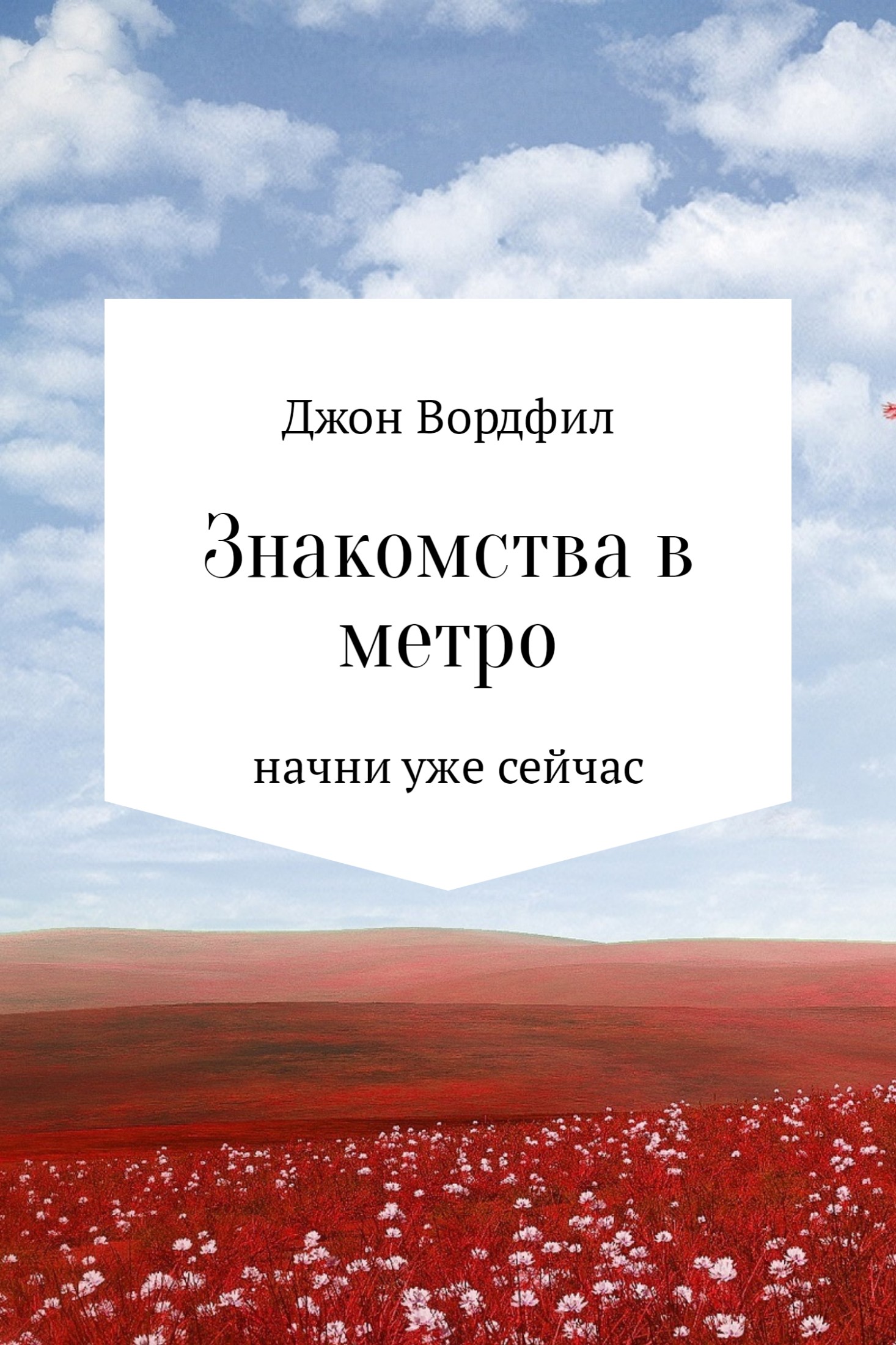 Онлайн книга - Знакомства в Метро - Джон Вордфил