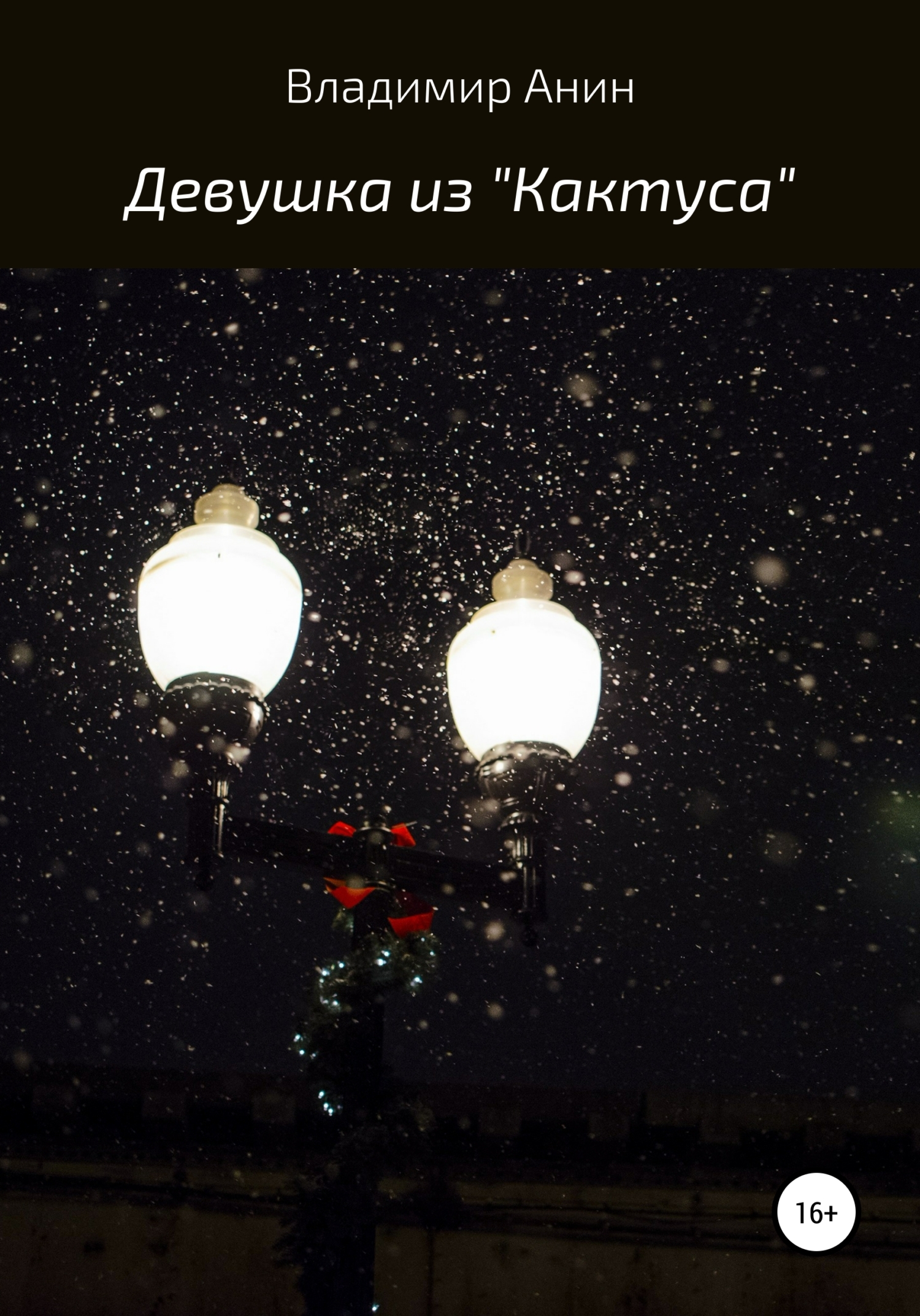Онлайн книга - Девушка из «Кактуса» - Владимир Анин