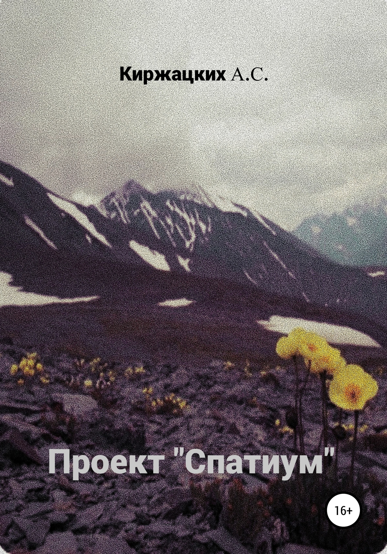 Онлайн книга - Проект «Спатиум» - Александр Сергеевич Киржацких