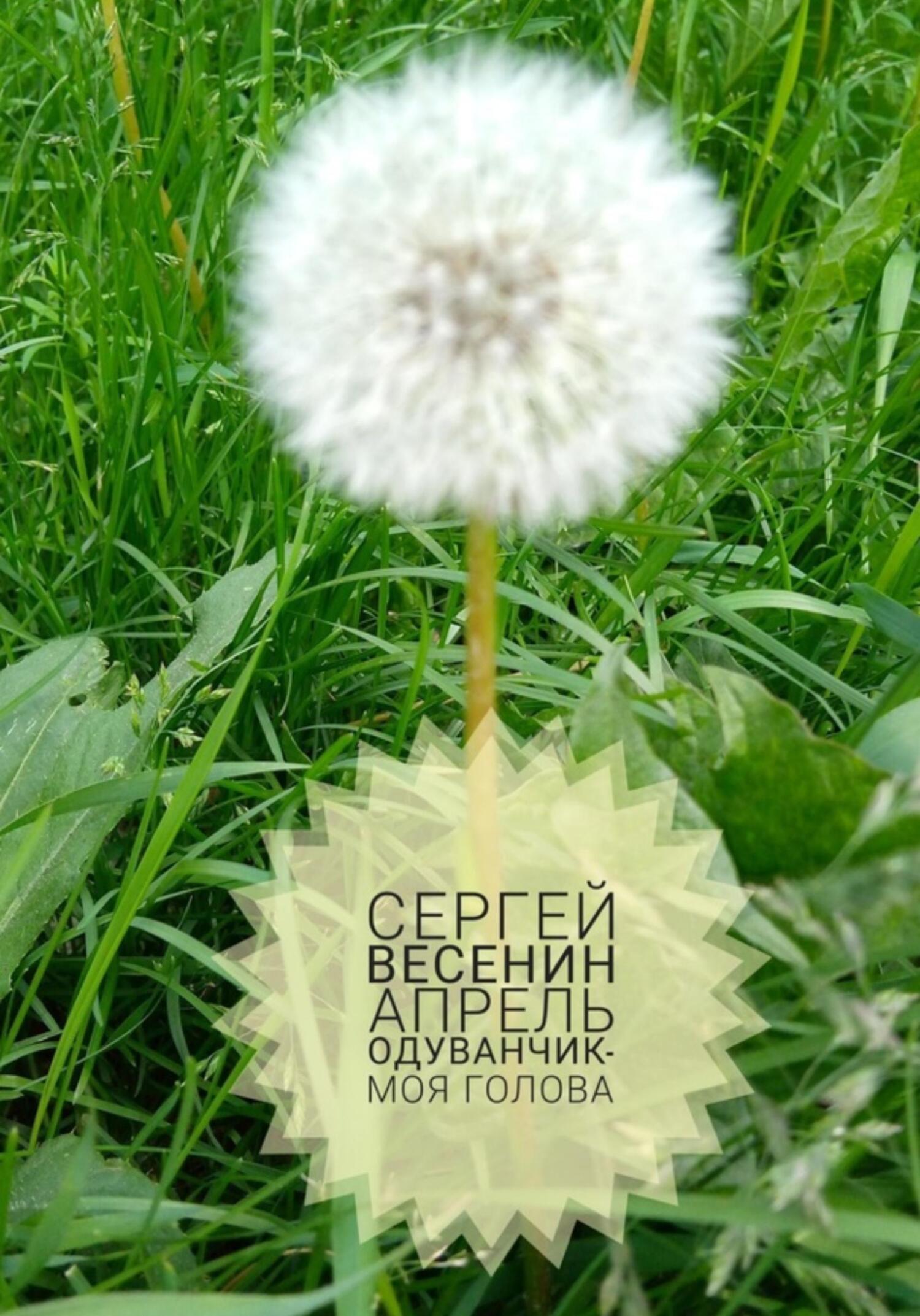 Онлайн книга - Апрель. Одуванчик – моя голова - Сергей Весенин