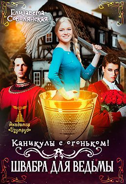 Онлайн книга - Каникулы с огоньком. Швабра для ведьмы - Елизавета Владимировна Соболянская
