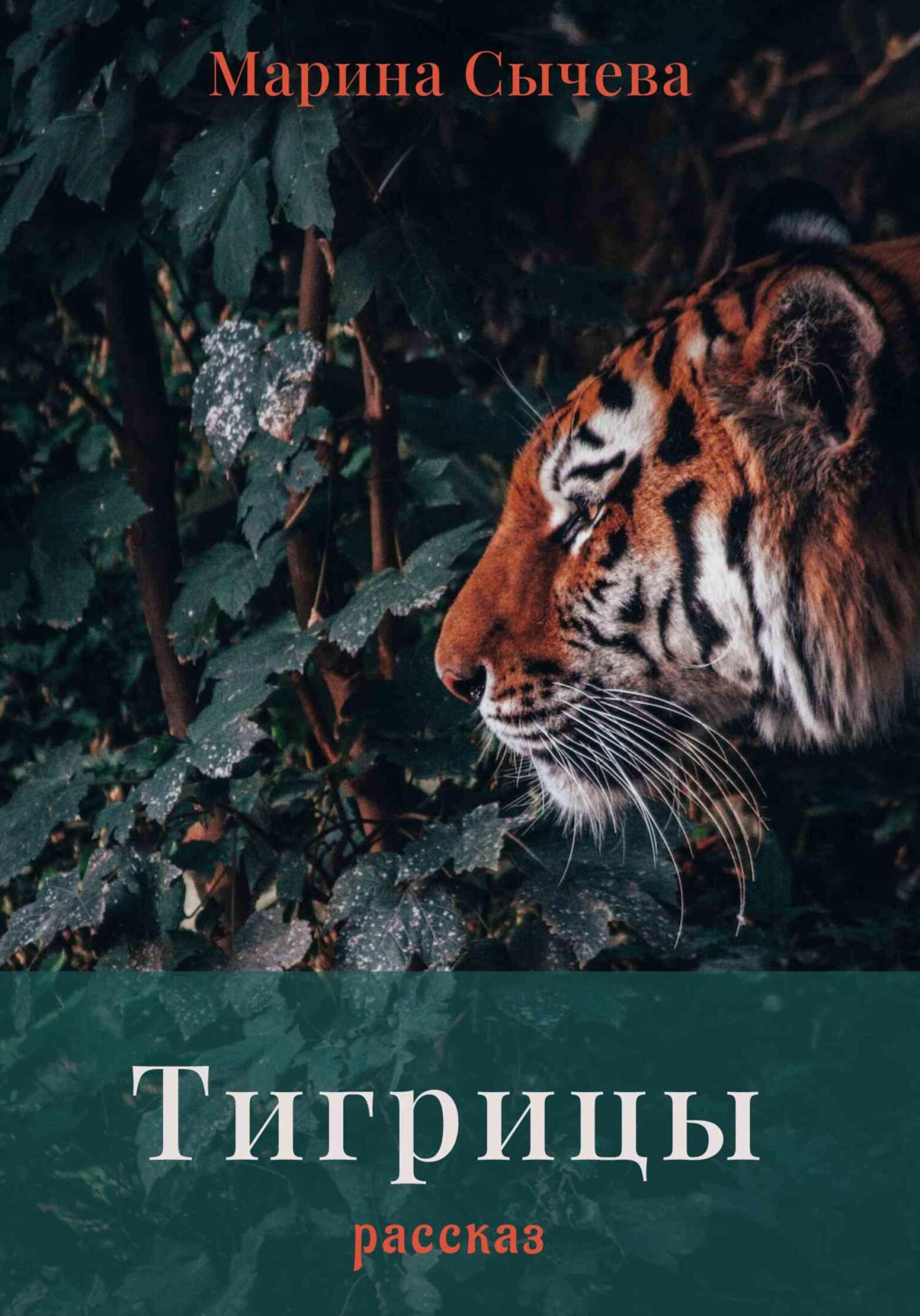 Онлайн книга - Тигрицы - Марина Сычева