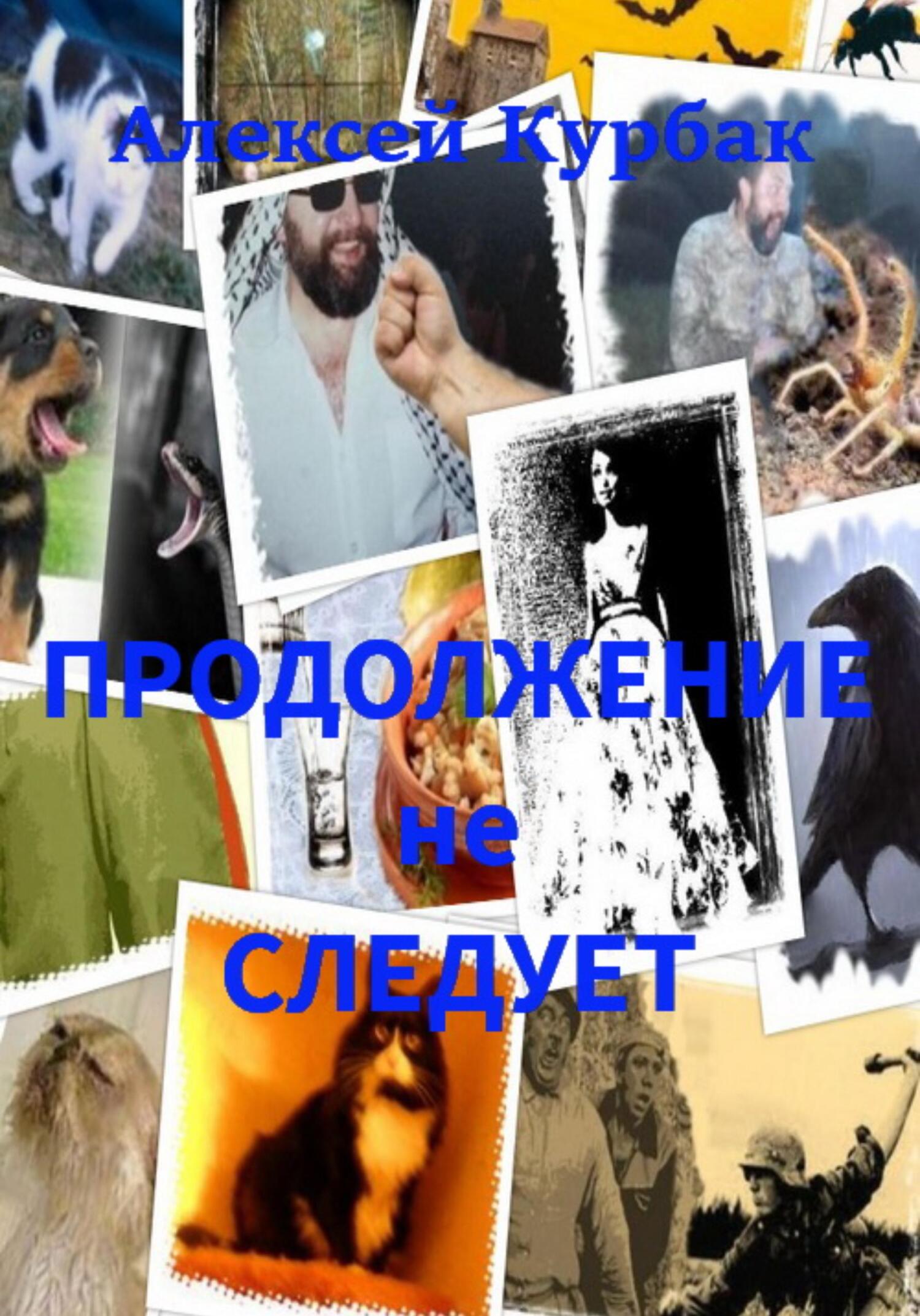 Онлайн книга - Продолжение не следует - Алексей Михайлович Курбак
