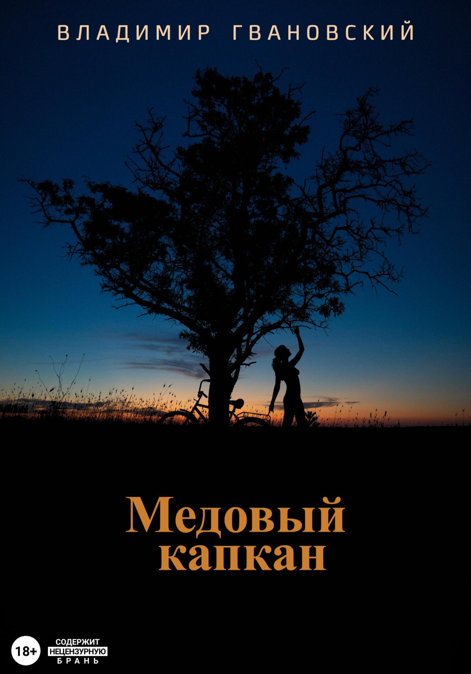 Онлайн книга - Медовый капкан - Владимир Михайлович Гвановский