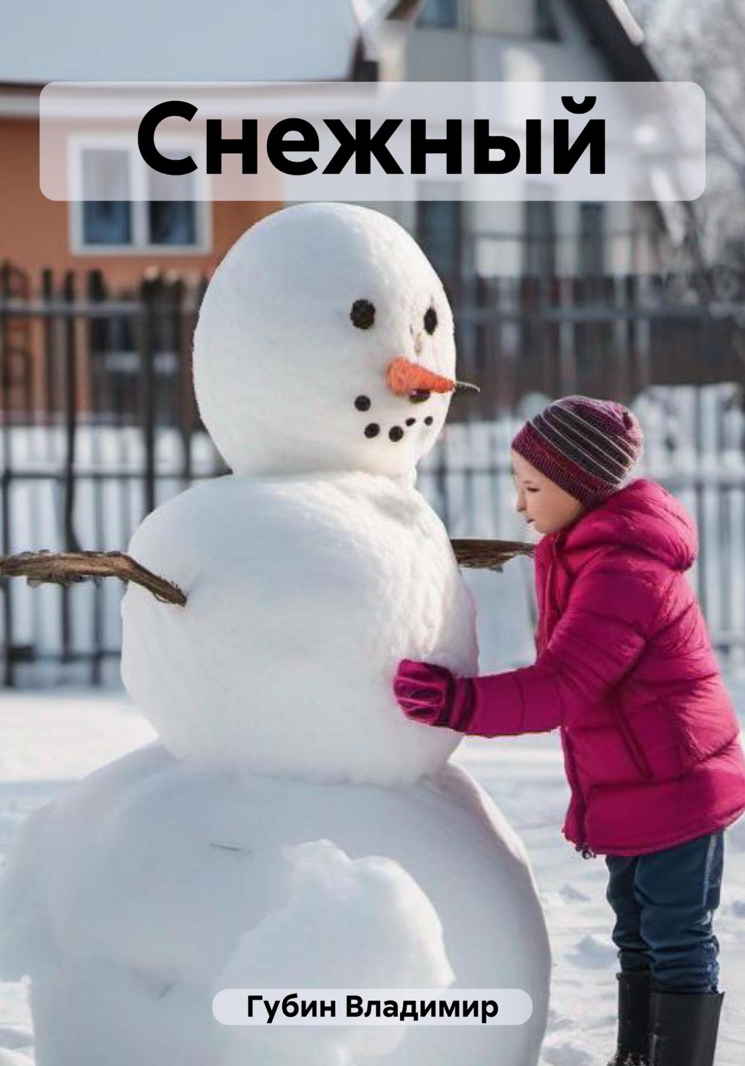 Онлайн книга - Снежный - Владимир Губин