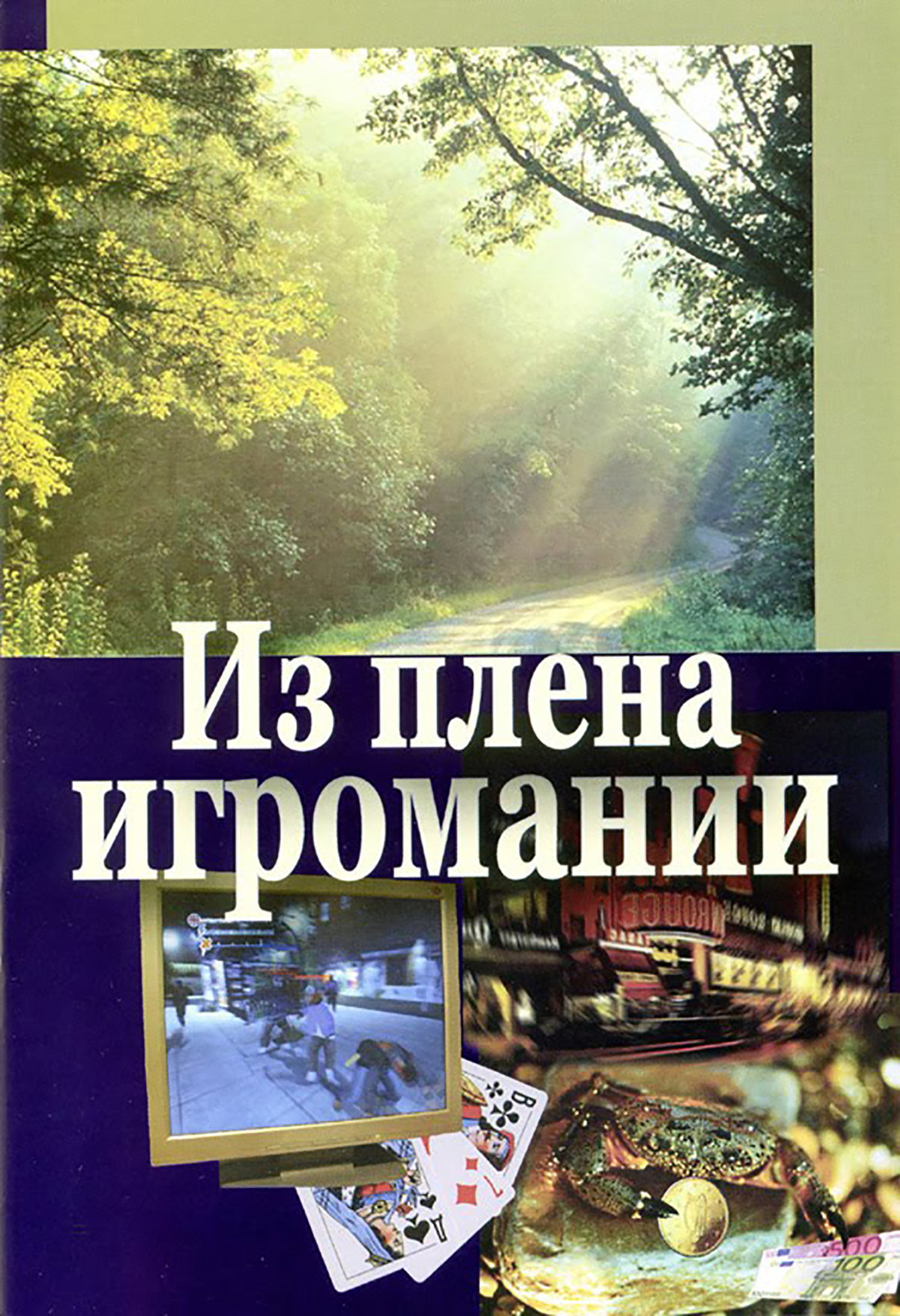 Онлайн книга - Из плена игромании - Владимир Анатольевич Цыганков