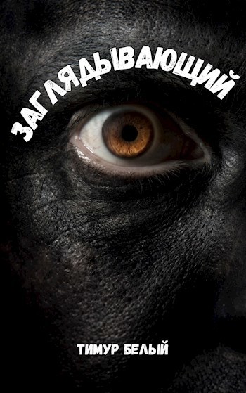 Онлайн книга - Заглядывающий - Тимур Шакиржанович Касымов