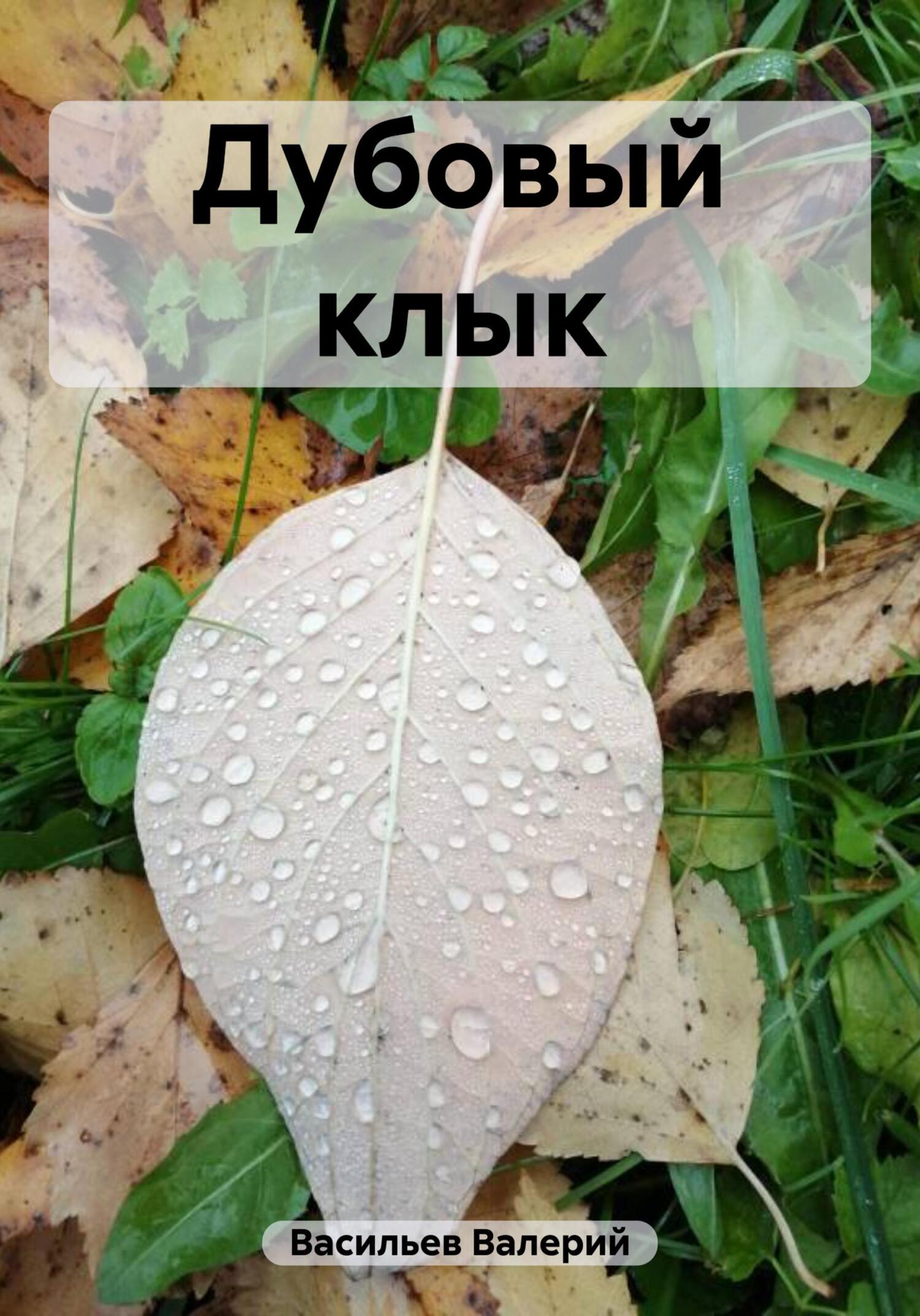Онлайн книга - Дубовый клык - Валерий Васильев