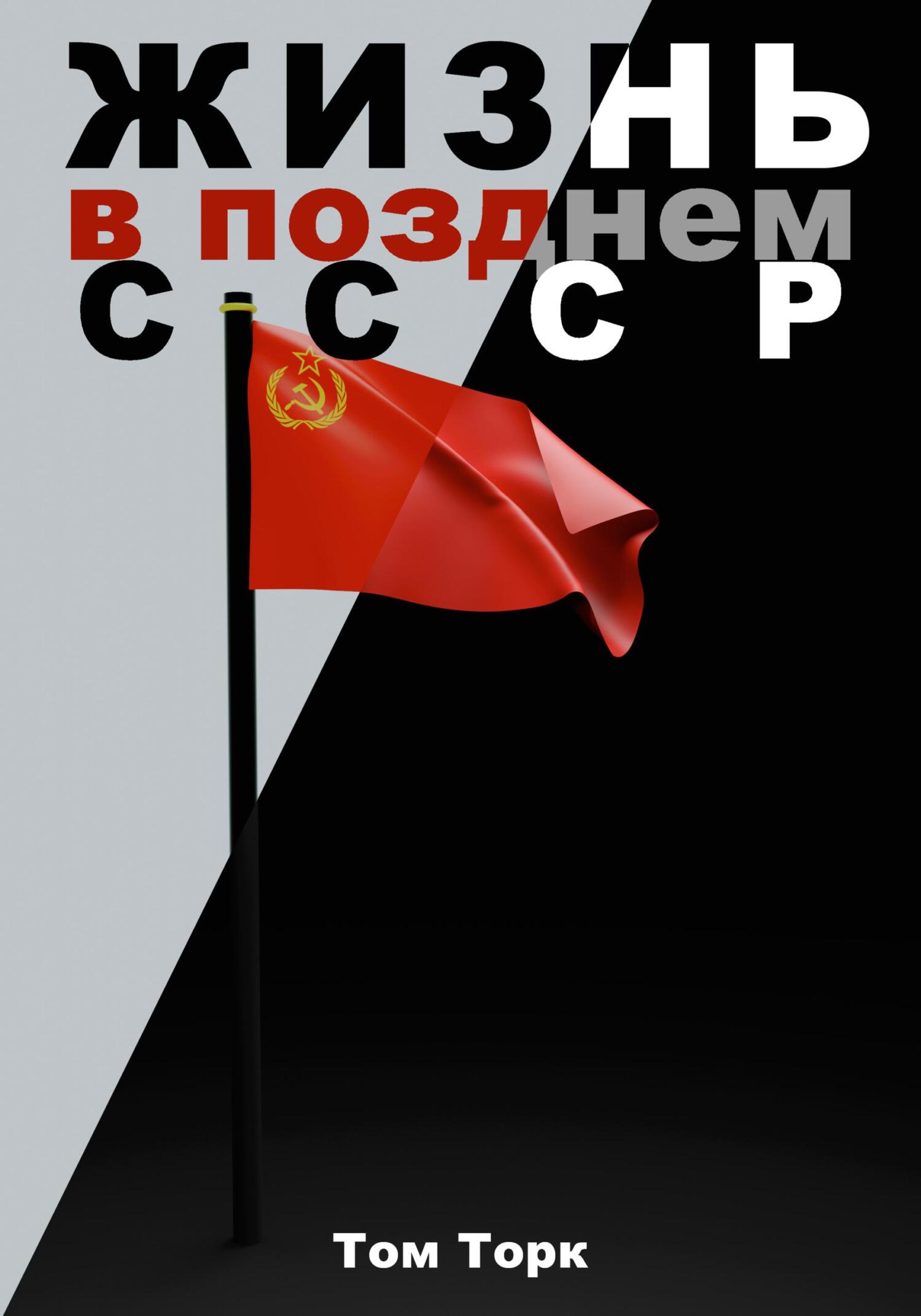 Онлайн книга - Жизнь в позднем СССР - Том Торк