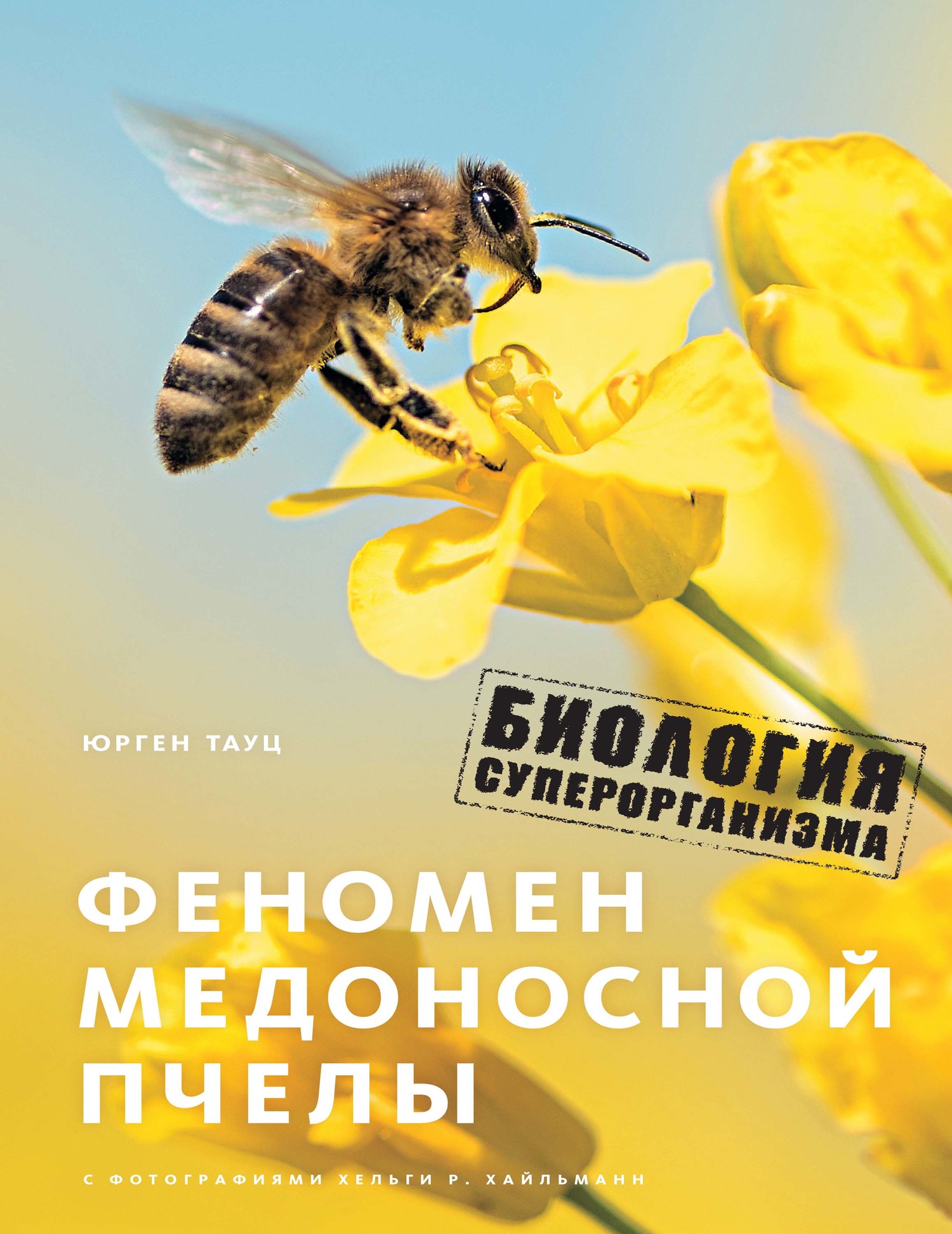 Онлайн книга - Феномен медоносной пчелы. Биология суперорганизма - Юрген Тауц