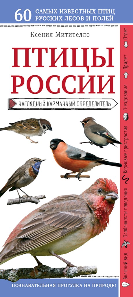 Онлайн книга - Птицы России. Наглядный карманный определитель - Ксения Борисовна Митителло