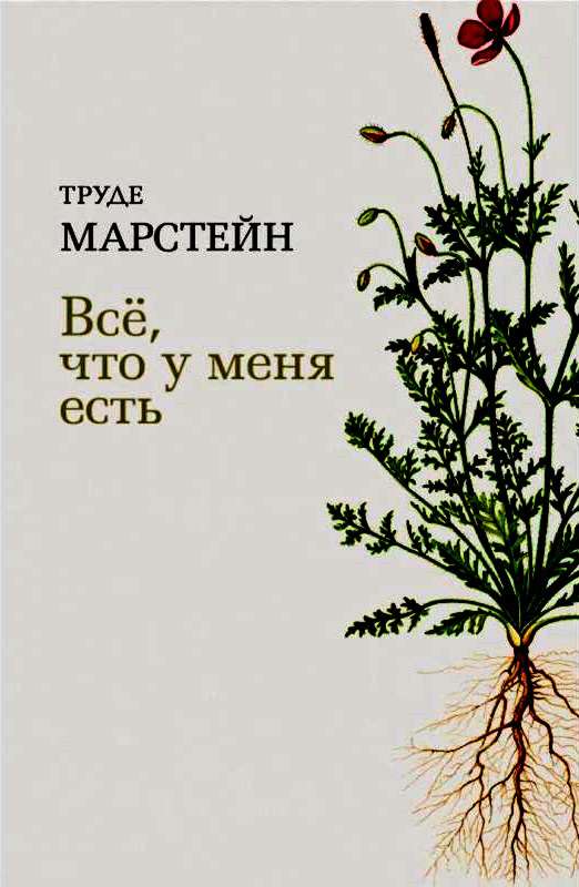 Онлайн книга - Всё, что у меня есть - Труде Марстейн