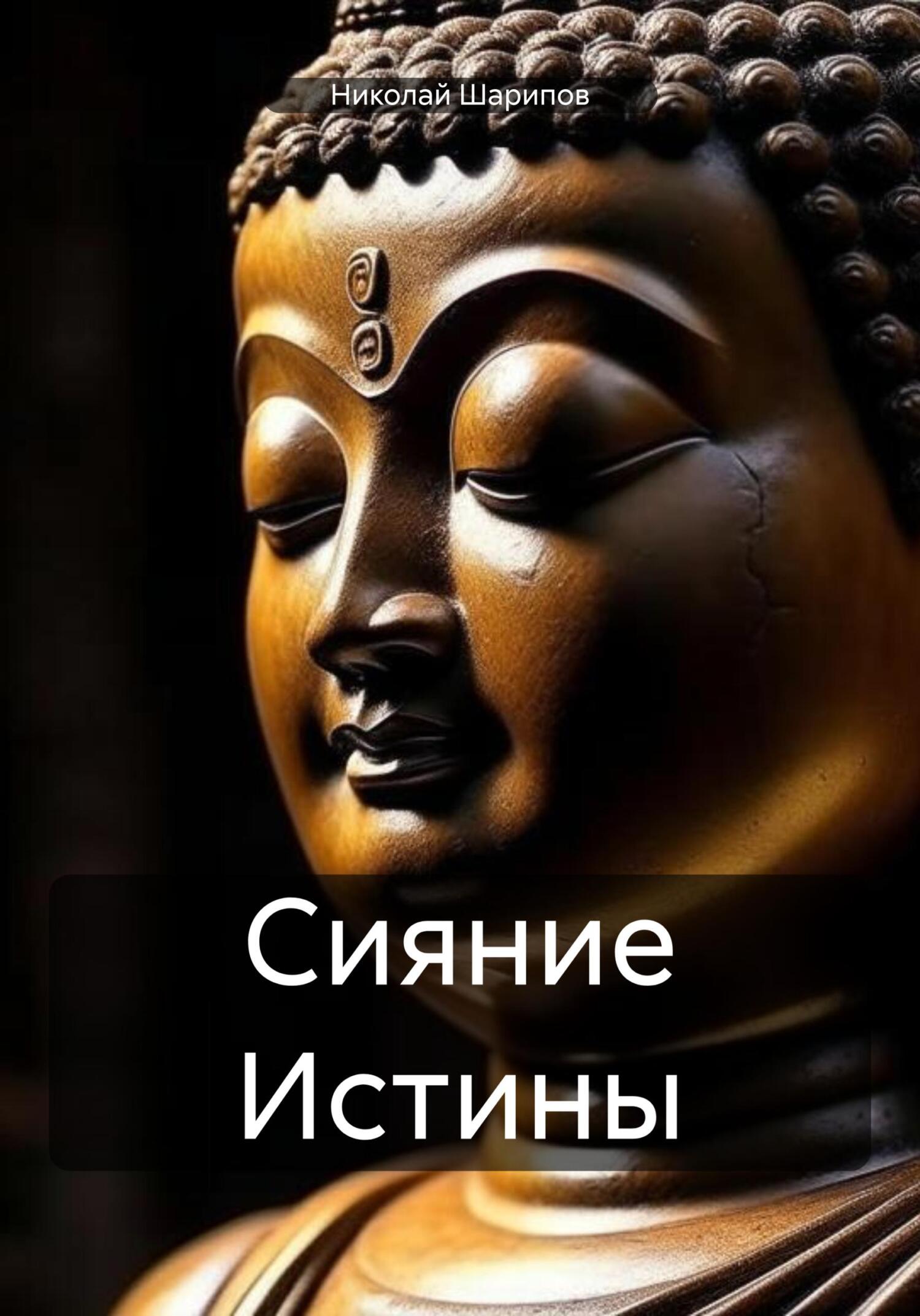 Онлайн книга - Сияние Истины - Николай Шарипов