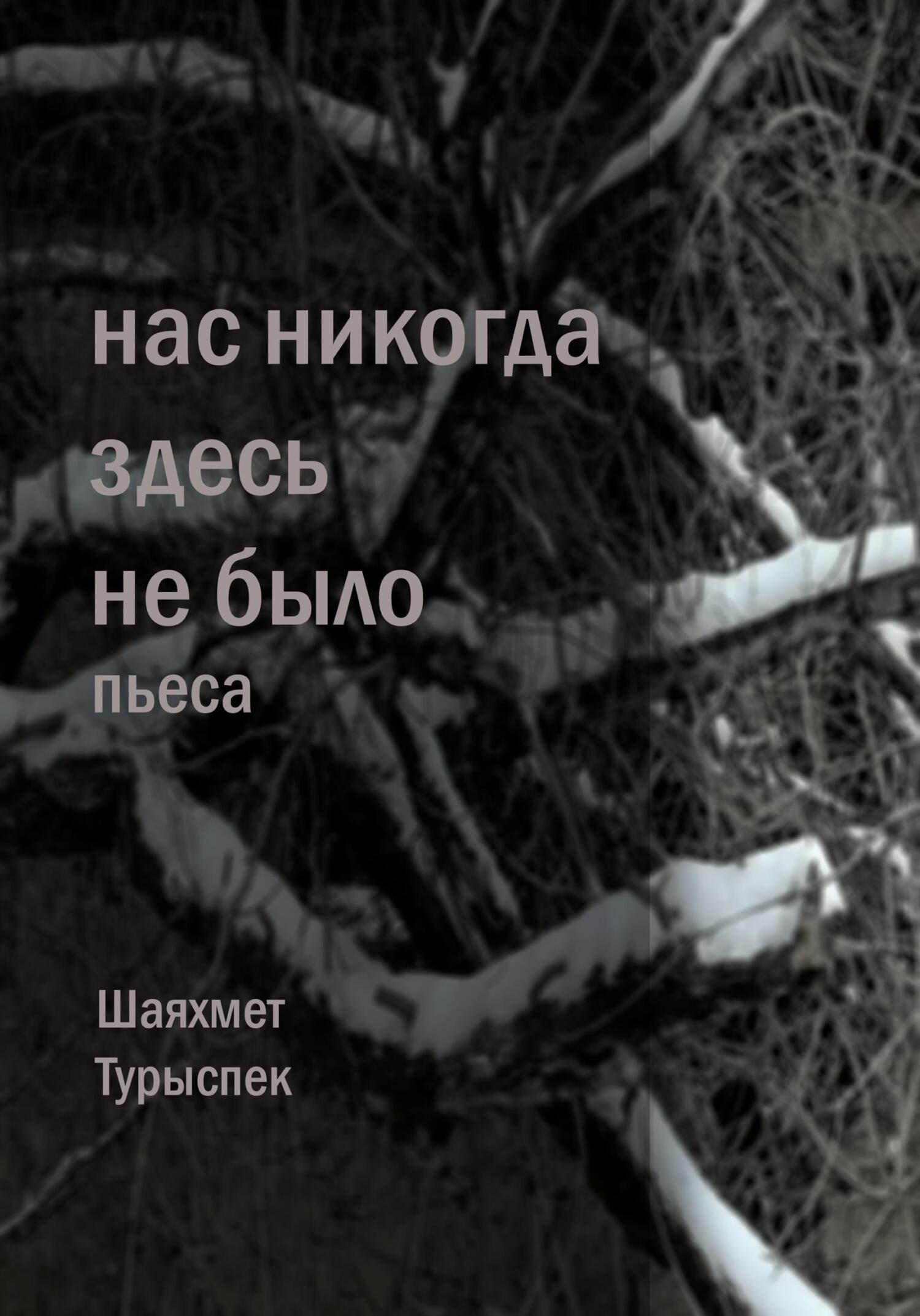 Онлайн книга - Нас никогда здесь не было - Шаяхмет Турыспек