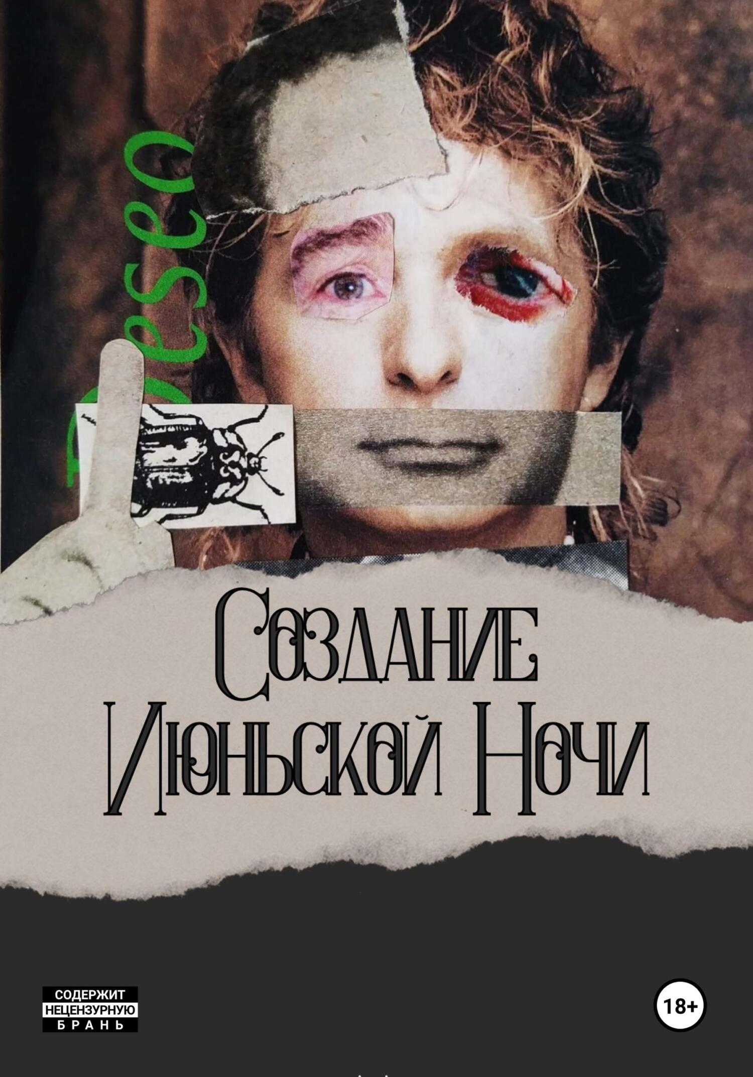 Онлайн книга - Создание Июньской Ночи - Амир Ализаде