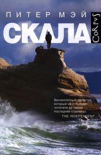 Онлайн книга - Скала - Питер Мэй