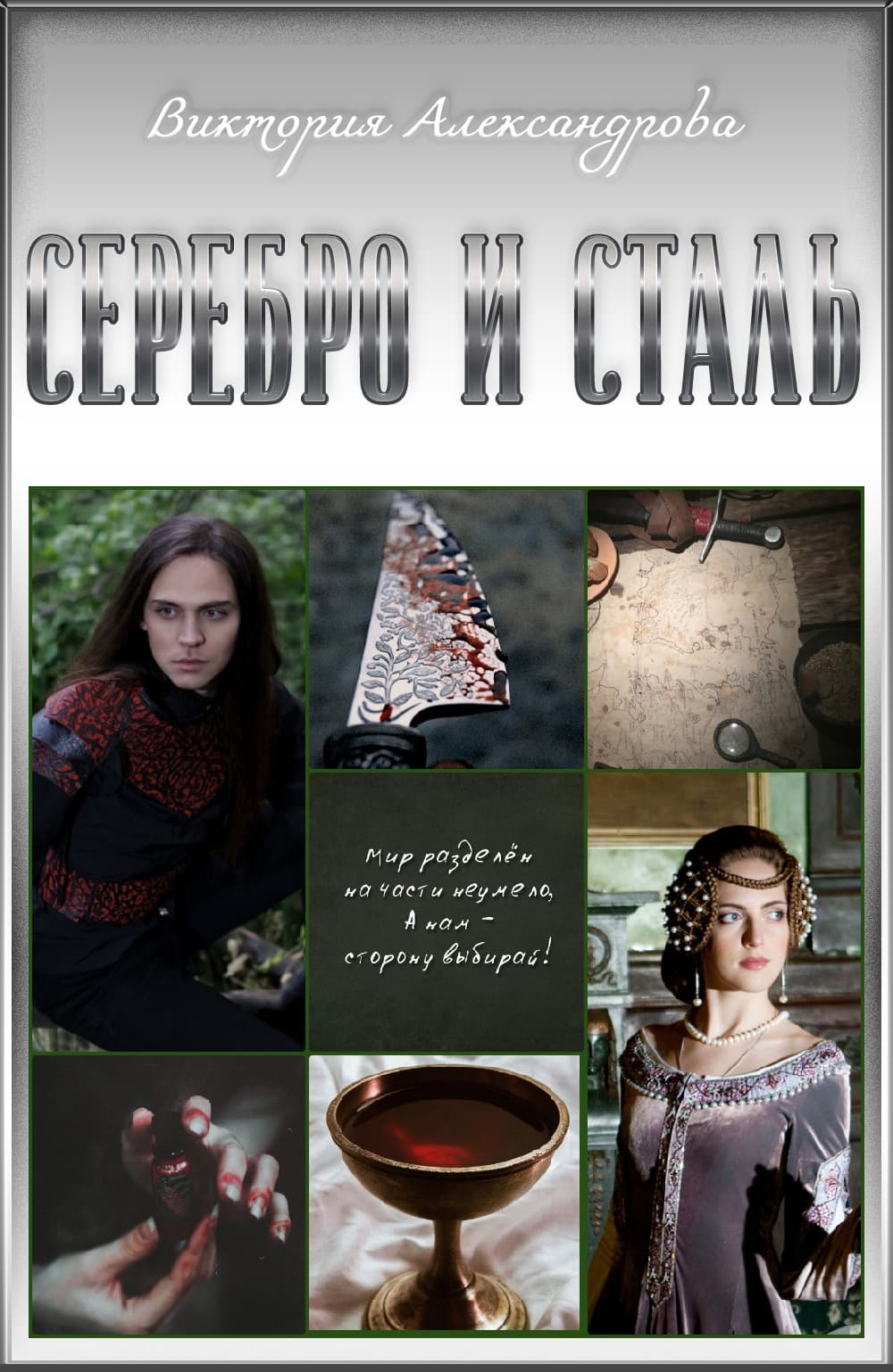 Онлайн книга - Серебро и сталь - Виктория Александрова