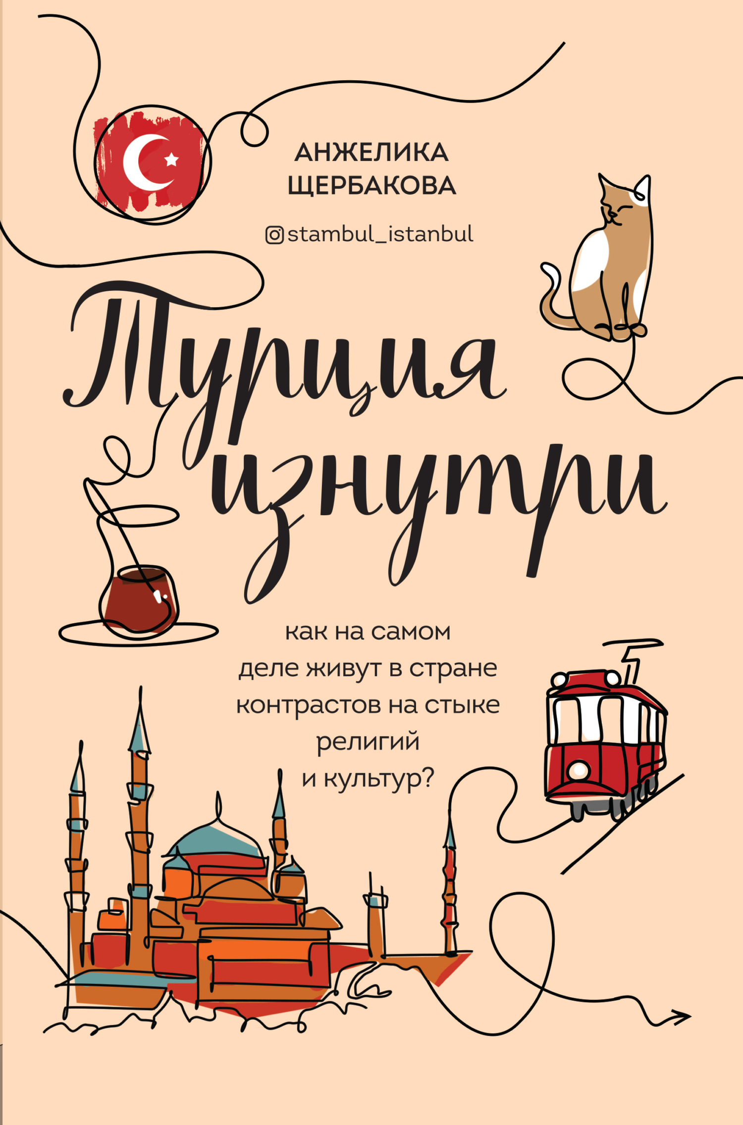 Онлайн книга - Турция изнутри. Как на самом деле живут в стране контрастов на стыке религий и культур? - Анжелика Н